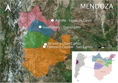 Phenolic Characterization of Cabernet Sauvignon Wines From Different Geographical Indications of Mendoza, Argentina: Effects of Plant Material and Environment